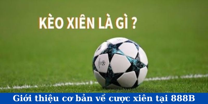 Giới thiệu cơ bản về cược xiên tại VN88