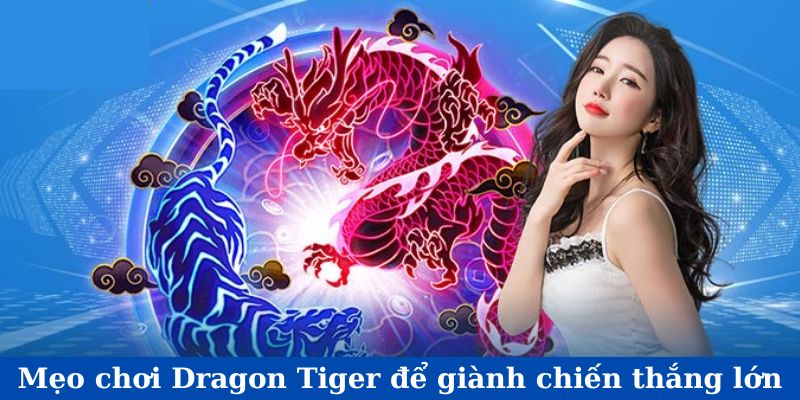 Chiến lược chơi Dragon Tiger giành thưởng khủng