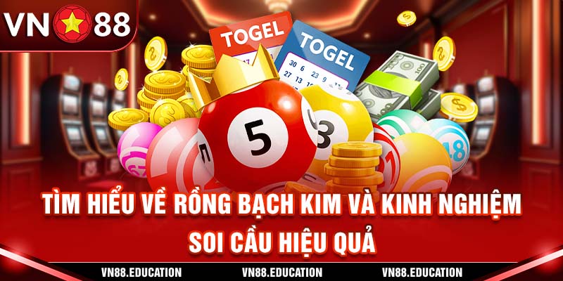 Tìm Hiểu Về Rồng Bạch Kim Và Kinh Nghiệm Soi Cầu Hiệu Quả