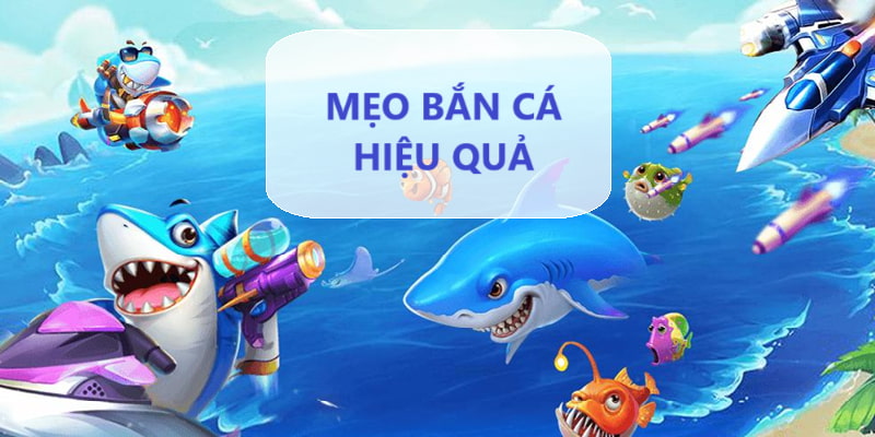 Bí kíp săn cá hiệu quả 