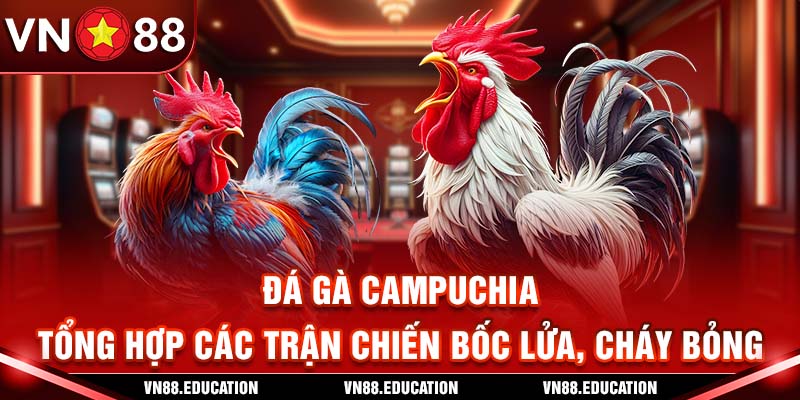 Đá Gà Campuchia - Tổng Hợp Các Trận Chiến Bốc Lửa, Cháy Bỏng